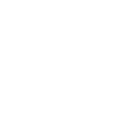 Frostnight Illustrations logo, an illustration company