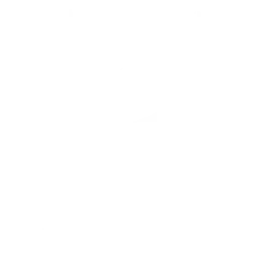 Frostnight Illustrations logo, an illustration company